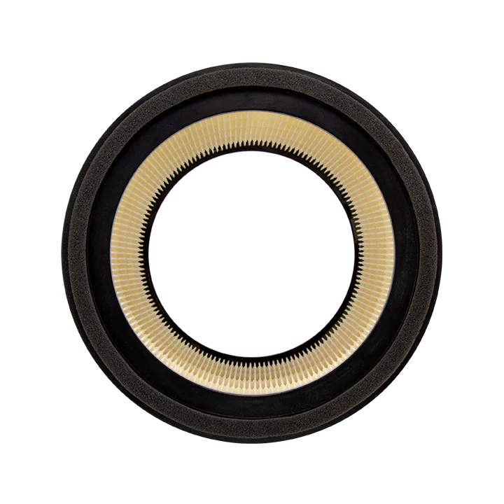 Replacement pureAir Active HEPA+ Pro Filter