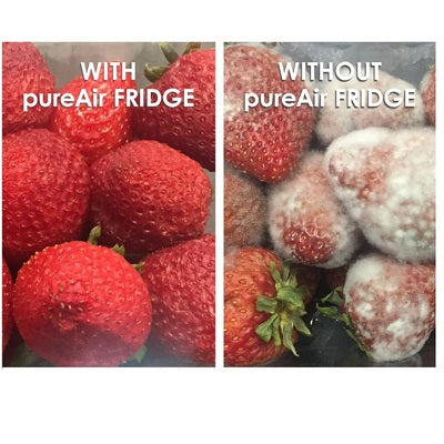 Pure Air Fridge Air Purifier